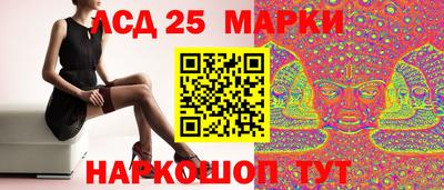 индика Усть-Илимск