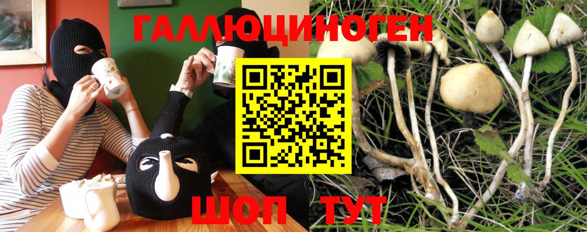 Псилоцибиновые грибы ЛСД Минеральные Воды